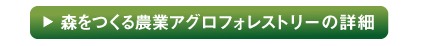 森を作る農業アグロフォレストリー