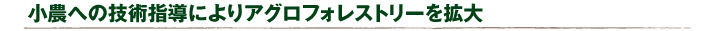 小農への技術指導によりアグロフォレストリーを拡大