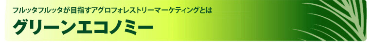 フルッタフルッタが目指すアグロフォレストリーマーケティングとは