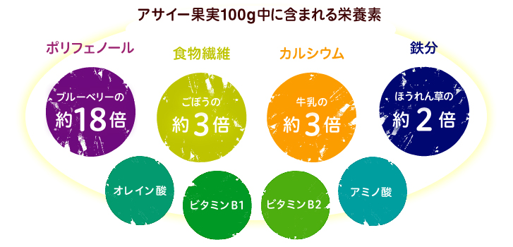 アサイー果実100g中に含まれる栄養素