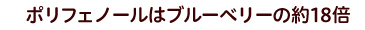 ポリフェノールはブルーベリーの約18倍