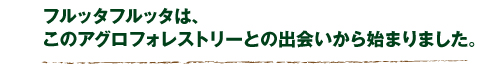 CAMTAトの出会い