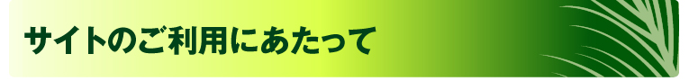 サイトのご利用に当たって