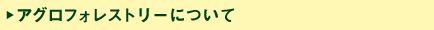 アグロフォレストリーについて